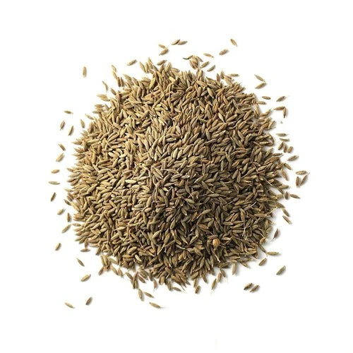 Gunvika Premium Whole Cumin Seeds Jeera Natural & Healthy Spices, Chemical Free & Pesticides Free | Indian Spices & Masala