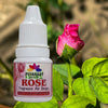 Pujahaat Premium Fragrance Air drops Rose air freshener for room, bathroom, toilet, car, wardrobes -Pack of 2 (2 x 5ml)