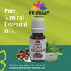Pujahaat Clove Essential Oil for Teeth, Gum, Skin & Hair Care and Diffuser - Undiluted, Pure & Natural Aromatherapy Grade- Vegan & Cruelty free - 15 ml