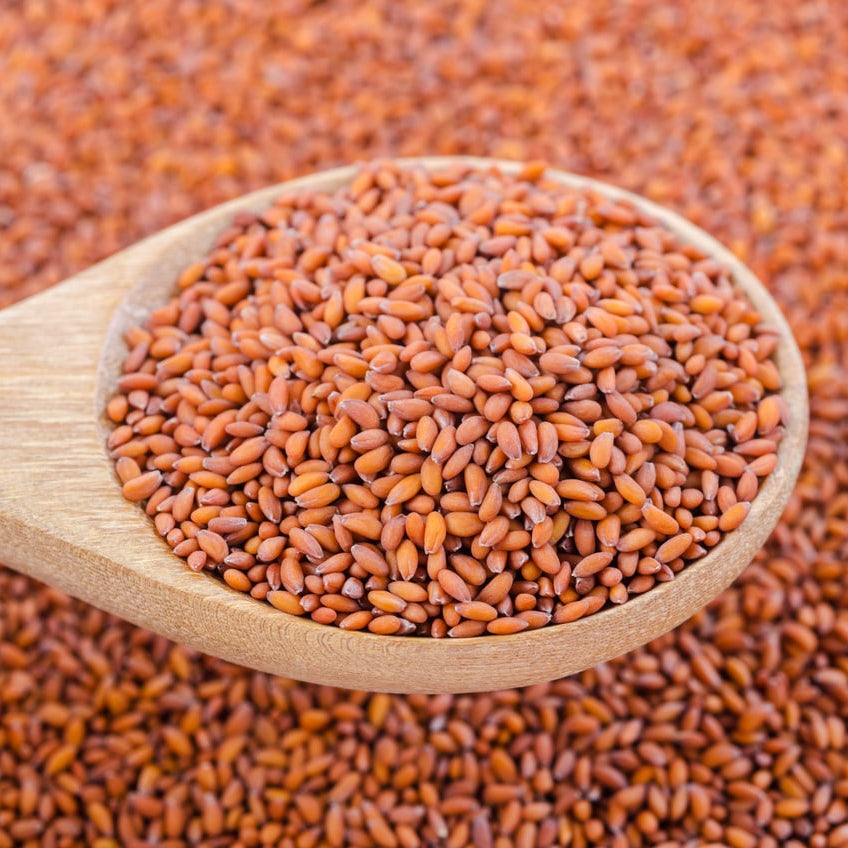 Gunvika Halim Seeds | Aliv Seeds for Eating & Hair Growth | Haleem Seeds | Garden Cress Seeds| Asaliya Seeds - Immunity Booster Superfood