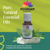 Pujahaat Eucalyptus Essential Oil for Hair Growth, Inhalation, Aromatherapy, Skin Care, Relax Muscle |100% Pure, Natural, Undiluted, Premium Nilgiri Oil | 15ml