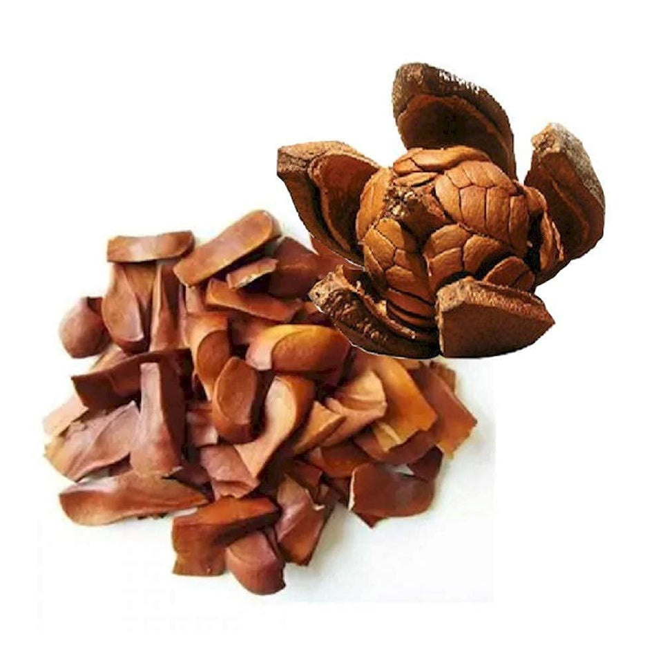 Kunjika Jadibooti Sugar Kadwa Badam, Diabetes Bitter Almonds, Sky Fruit Mahogany Seeds Bitter Almond Kadwa Badam