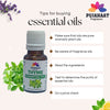 Pujahaat Thyme Essential Oil - Natural, Pure, Plant-Based Skincare & Hair care Solution, Aromatherapy - Hydrates, Soothes, Promotes Hair Growth & Skin Healing - Vegan & Cruelty free - 15 ml
