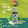 Pujahaat Thyme Essential Oil - Natural, Pure, Plant-Based Skincare & Hair care Solution, Aromatherapy - Hydrates, Soothes, Promotes Hair Growth & Skin Healing - Vegan & Cruelty free - 15 ml