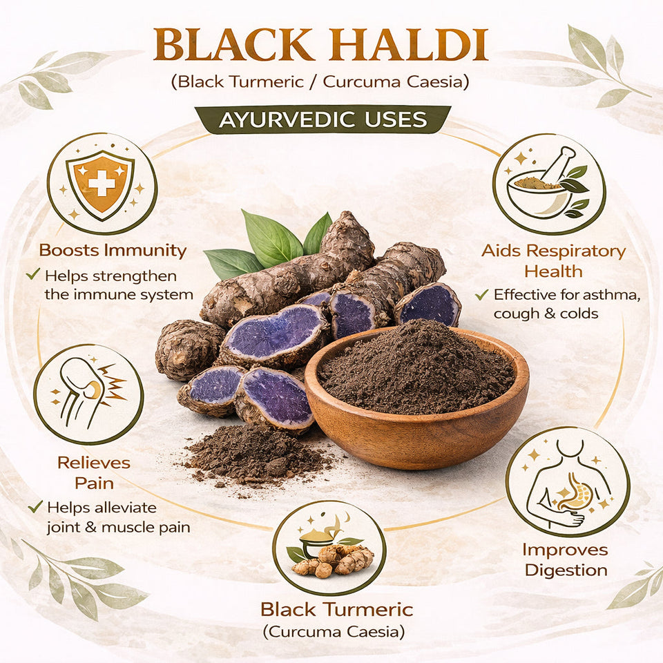 Kunjika Jadibooti Black Turmeric Powder | Kali Haldi | Narkachur | Nar Kachur - Narkchaur - Curcuma Zerumbet - Zedoary Root Pure & Natural Powder - 100 gms