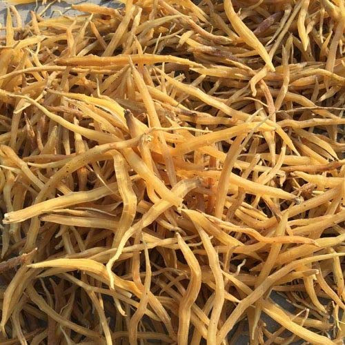 Kunjika Jadibooti Shatavari Yellow Root - Asparagus Racemosus - Satawar - Satawari - 100gm