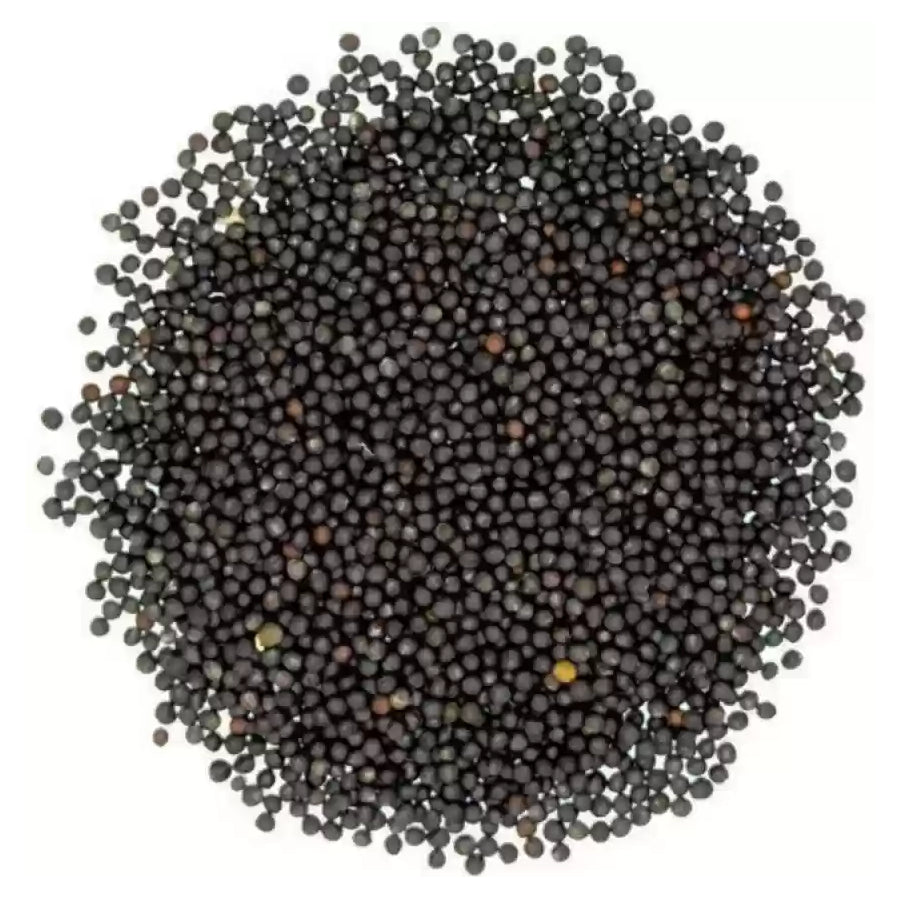 Gunvika Black Mustard Seeds Big | Black Mustard Rai Seeds Big | Sasive seeds Whole Kali Sarson Dana | Sarson dana Indian Spice Gluten Free