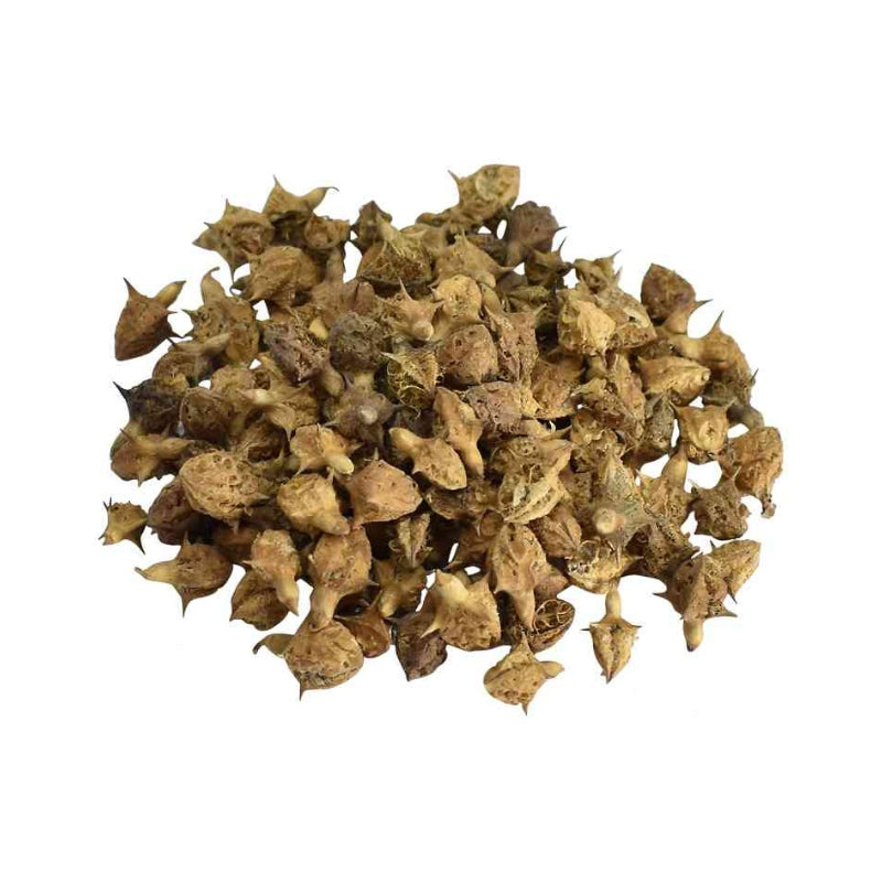 Kunjika Jadibooti Bada Gokhru - Pedalium Murex - Large Caltrops, Natural- 100 gm