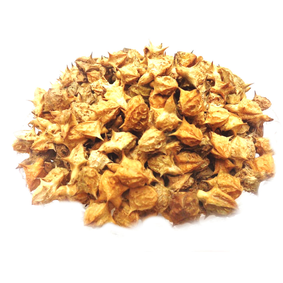 Kunjika Jadibooti Bada Gokhru - Pedalium Murex - Large Caltrops, Natural- 100 gm