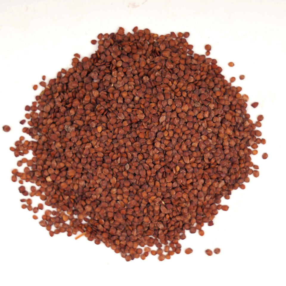Kunjika Jadibooti Lajwanti Seeds - Lajvanti Beej - Chui Mui - Mimosa pudica - 100 gm
