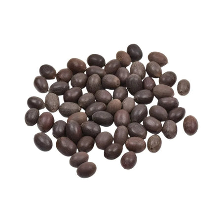 Kunjika Jadibooti Kamal Gatta | Nelumbo Nucifera Gaertn - Lotus Seeds Kamal Gatta - Kamalgatta Kamal Kakdi - 100 gm