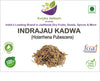 Kunjika Jadibooti Indrajau Kadwa For Diabetes - Inderjoo Kadwa - Indra Jau - indrajav kadwa - Indrajo Kadwa - Indrajao Seeds - Holarrhena Pubescens (100 GM)