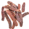 Kunjika Jadibooti Shikakai Raw | Acacia Concinna | Dried Shikakai Raw And Natural | Dry Shikakai Whole - 100 gm