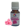 Pujahaat Geranium Essential Oil for Hair Growth, Long & Healthy Hair, Minimize fine line & Wrinkles, Smooth Skin, Healthy Scalp | 100% Pure, Natural, Organic - Vegan & Cruelty free - 15 ml