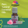 Pujahaat Geranium Essential Oil for Hair Growth, Long & Healthy Hair, Minimize fine line & Wrinkles, Smooth Skin, Healthy Scalp | 100% Pure, Natural, Organic - Vegan & Cruelty free - 15 ml