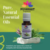 Pujahaat Patchouli Natural Essential Oil for Undiluted Therapeutic grade for Skin Care, Hair Care, Relief from Stress & Anxiety and Aromatherapy - Vegan & Cruelty free - 15 ml