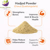 Kunjika Jadibooti Hadjod Powder - Hadd jod - Haddjodd - Cissus Quadrangularis Powder - 100 gm