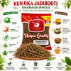 Kunjika Jadibooti Dhamasa - Desert Fagonia - Damasha - Raw Herbs -Dhamasha - Dhamaasa-Single Herbs - Jadi Booti - 100 gm