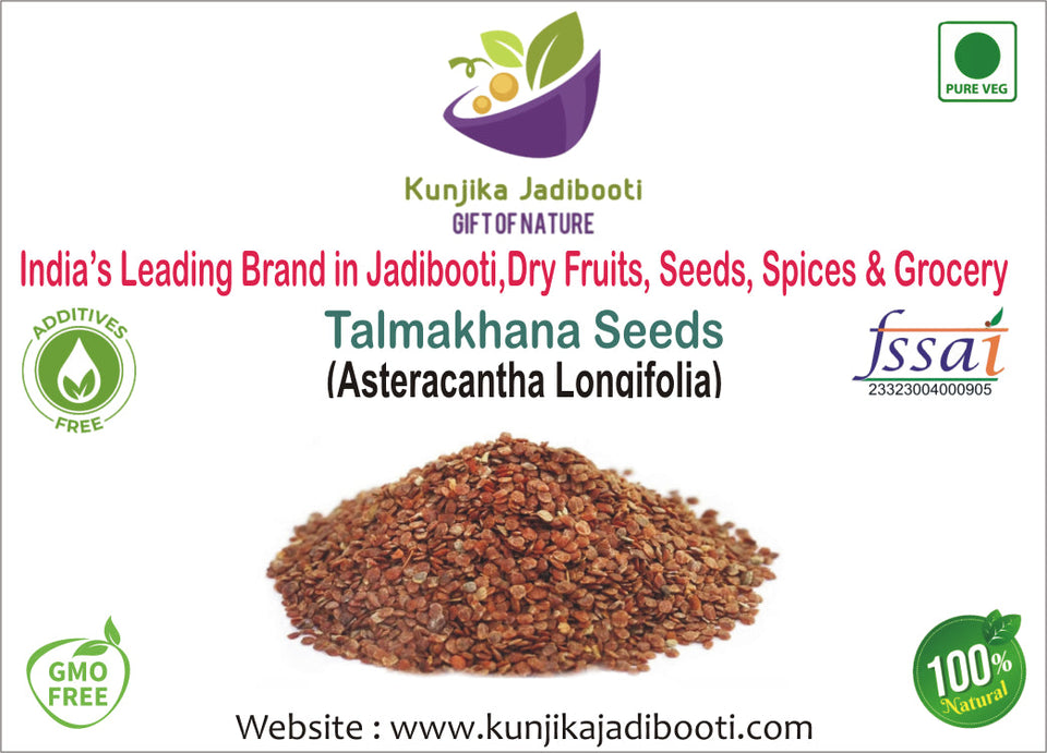 Kunjika Jadibooti Talmakhana | Taal Makhana | Kokilaksha Beej | Asteracantha Longifolia -Jadi Booti - 100 gm