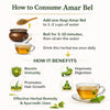Kunjika Jadibooti Amar Bel - Akash Bel - Afteeyun - Aftimoon - Dodder - Cuscuta reflexa - 100 gm