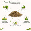 Kunjika Jadibooti Amar Bel - Akash Bel - Afteeyun - Aftimoon - Dodder - Cuscuta reflexa - 100 gm