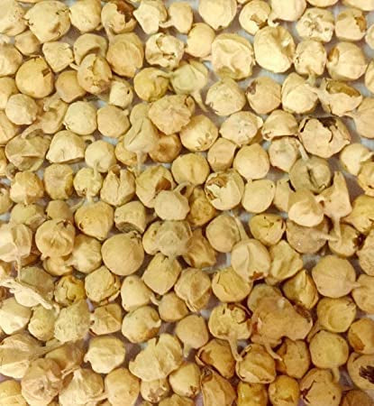 Kunjika Jadibooti Paneer Doda | Indian Rennet | Withania Coagulans - Paneer Phool (100 GM)