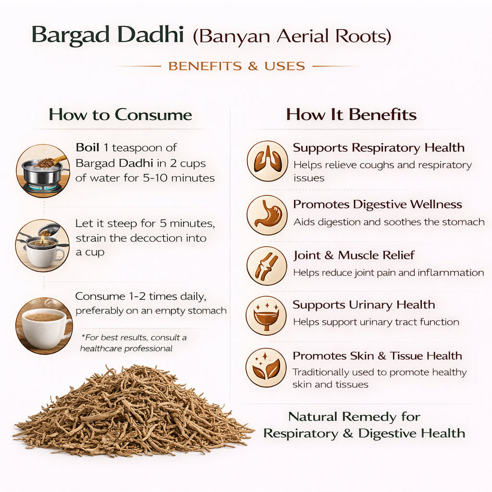 Kunjika Jadibooti Bargad Ki Dadhi - Bar Ki Dari - Badh Ki Dadhi - Banyan Aerial Roots - Pure & Natural | Jadi Booti Whole - 100 gm