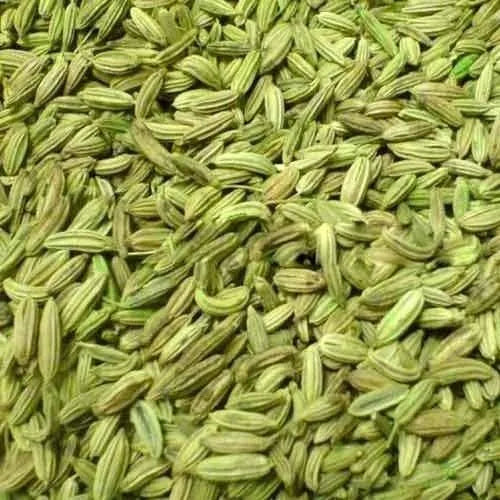 Gunvika Premium Moti Saunf, Big Fennel Seeds Whole Spices Variyali | Perumjeerakam Whole Spices