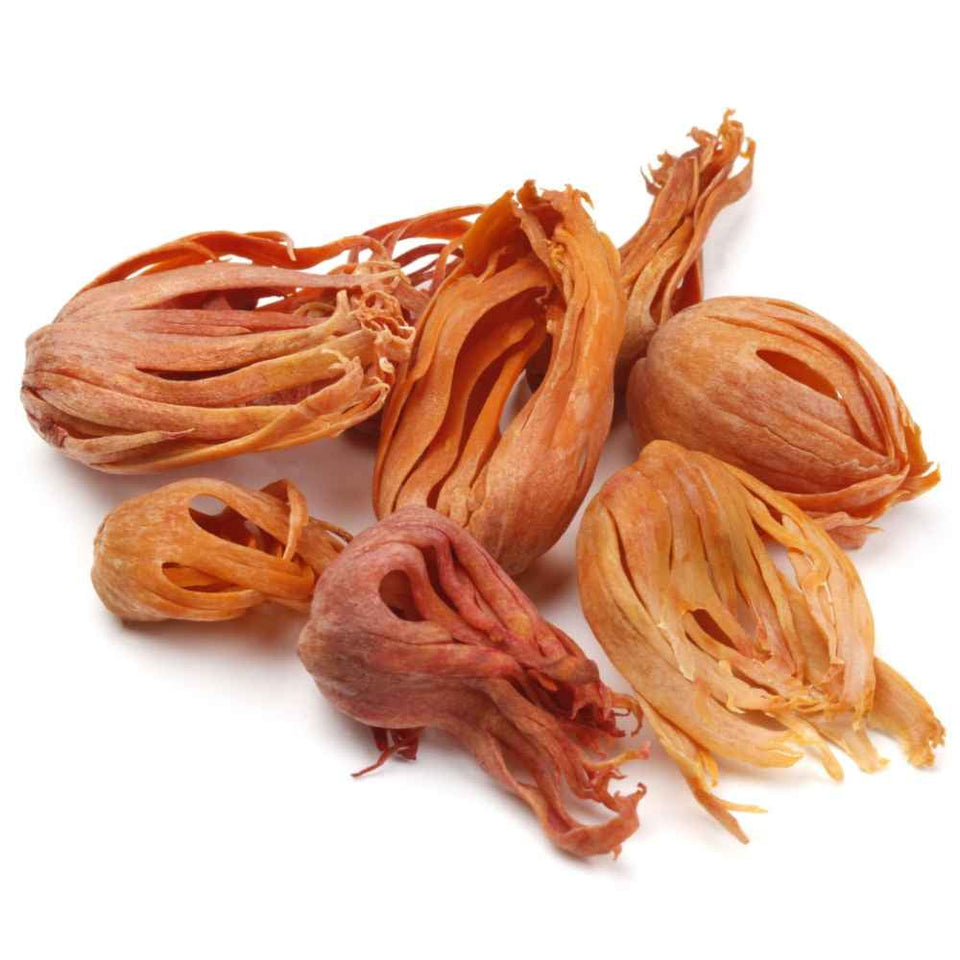 Kunjika Jadibooti Javitri Spice Whole, Kerala Mace, Mace Whole, Javetri Flower, Sabut Javitri, Jaypatri | Indian Spices & Masala - 100 gm