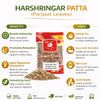 Kunjika Jadibooti Harshringar Patta | Parijat Patta | Parijaat Leaves | Nyctanthes Arbor | Tristis | Night Jasmine - 100 gm