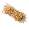 Kunjika Jadibooti Khas Root- Khus Jad - Ushira - Vetiver Roots - Vetiveria Zizanioides - Ramacham - 100 gm