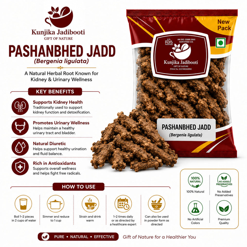 Kunjika Jadibooti Pashanved, Pashanbhed | Bergenia ligulata - 100 gm