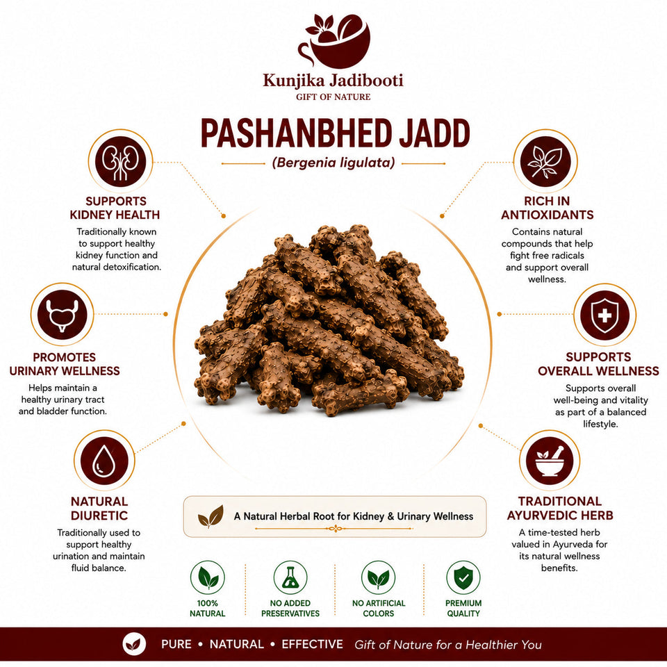 Kunjika Jadibooti Pashanved, Pashanbhed | Bergenia ligulata - 100 gm
