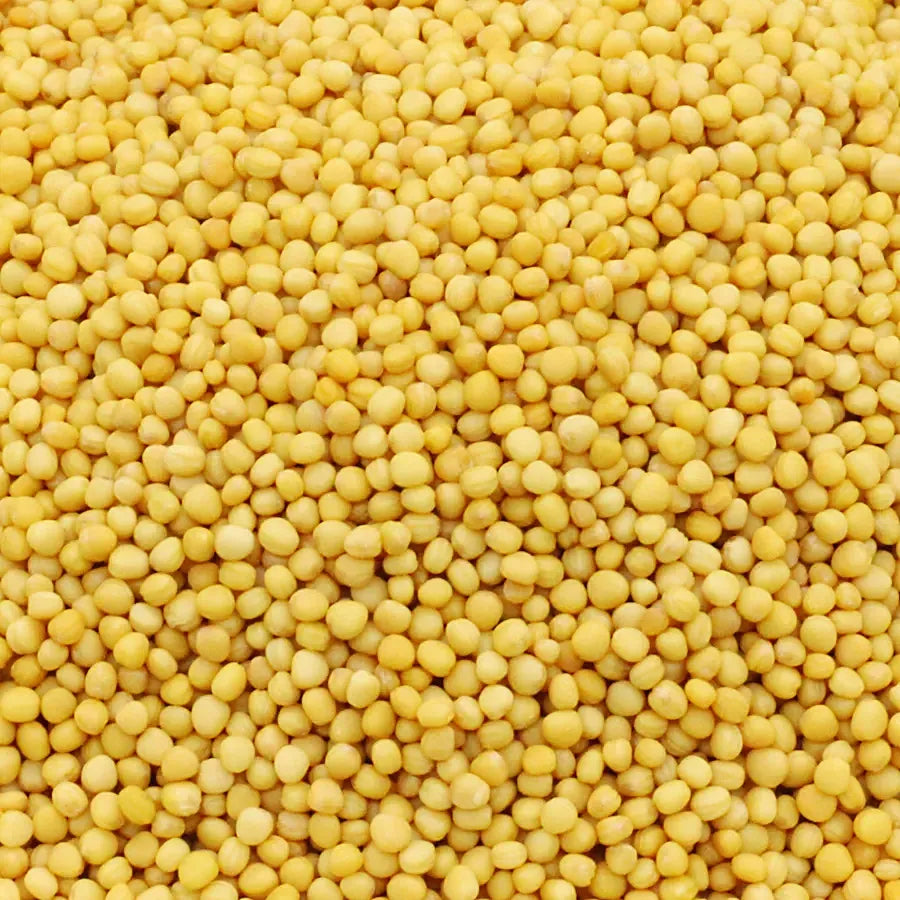 Kunjika Jadibooti Yellow Mustard Seeds / Peeli Sarson Pesticides Free | Indian Spices & Masala| Indian Spices & Masala - 200 gm