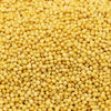 Kunjika Jadibooti Yellow Mustard Seeds / Peeli Sarson Pesticides Free | Indian Spices & Masala| Indian Spices & Masala - 200 gm