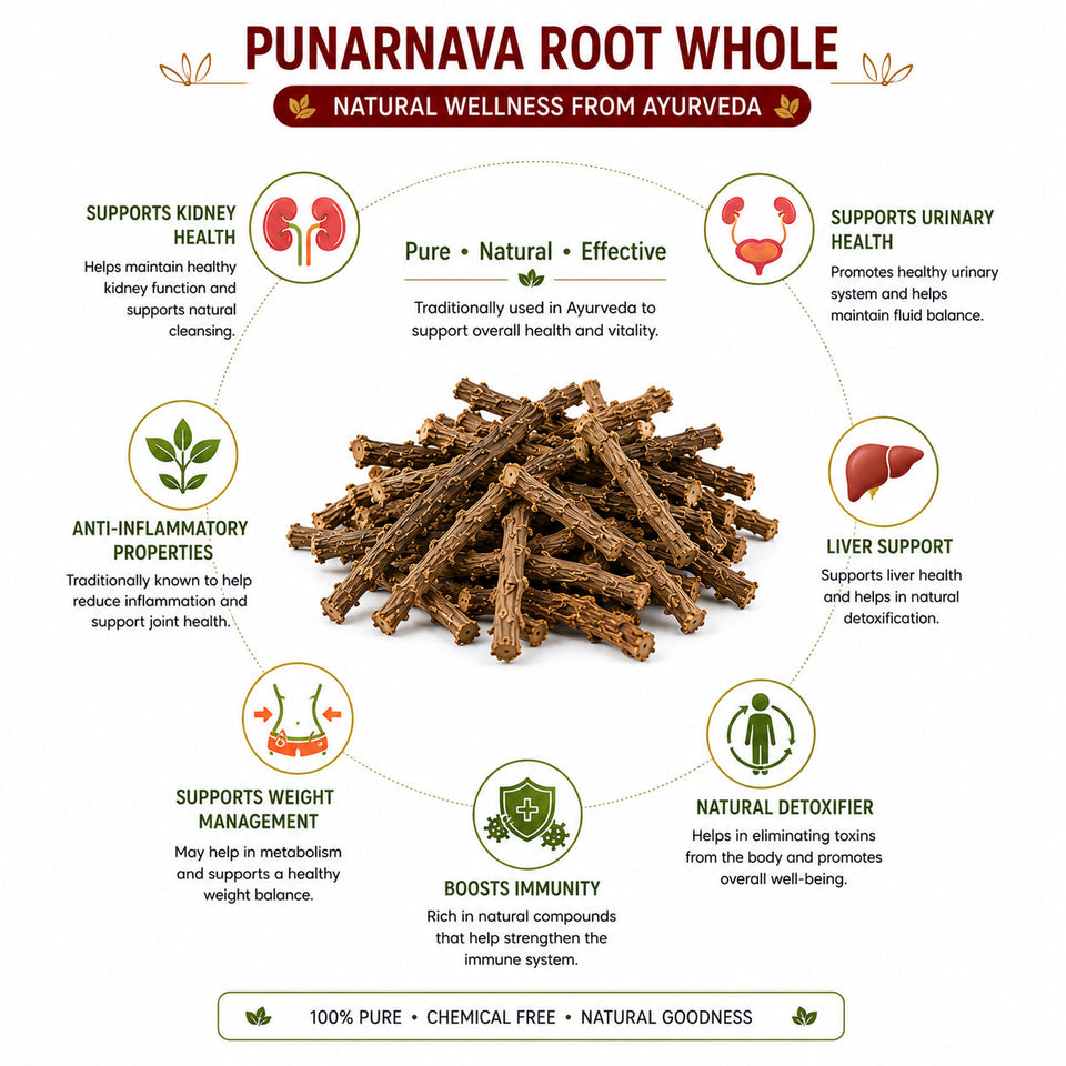 Kunjika Jadibooti Punarnava - Punarnava Root - Sathi Jadd - Boerhaavia Diffusa Root - Spreading Hogweed - 100 gm
