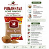 Kunjika Jadibooti Punarnava Powder - Punarnava Root - Sathi Jadd - Boerhaavia Diffusa Root - Spreading Hogweed Powder - 100 gm