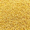 Gunvika Premium Whole Natural Yellow Mustard Seeds / Peeli Sarson Pesticides Free | Indian Spices & Masala