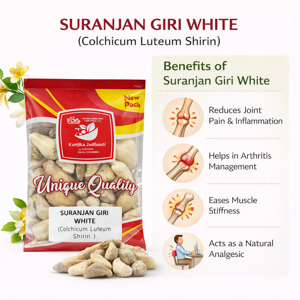 Kunjika Jadibooti Suranjan Giri Meethi (Suranjan Shirin) Whole – Premium Ayurvedic Herb | Sweet Colchicum Root | Natural Raw Herb for Traditional Ayurvedic Preparations | 100% Pure & Natural