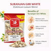 Kunjika Jadibooti Suranjan Giri Meethi (Suranjan Shirin) Whole – Premium Ayurvedic Herb | Sweet Colchicum Root | Natural Raw Herb for Traditional Ayurvedic Preparations | 100% Pure & Natural