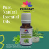 Pujahaat Peppermint Essential Oil for Aroma Therapy, Hair & Skin Pure, Natural, Undiluted - Vegan & Cruelty free - 15 ml