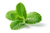 Pujahaat Peppermint Essential Oil for Aroma Therapy, Hair & Skin Pure, Natural, Undiluted - Vegan & Cruelty free - 15 ml