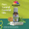 Pujahaat Coriander Essential Oil (Coriandrum sativum) Pure | Non-Sticky | Non-greasy | Natural & Undiluted | Therapeutic Grade Aromatherapy | Hair Care - Vegan & Cruelty free - 15 ml