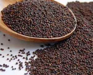 Gunvika Whole Raw Rai Small | Choti Rai | Red Mustard Seeds | Brown Mustard Seeds| Raw Seeds | Indian Spices & Masala