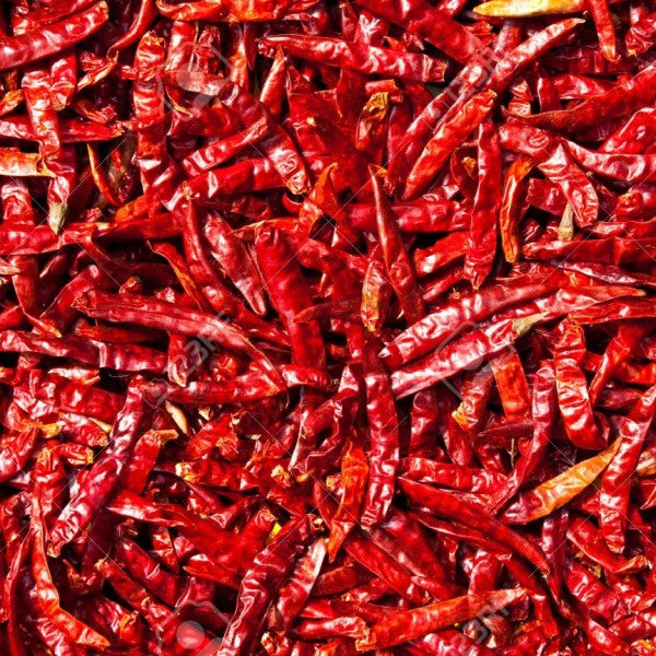 Gunvika Whole Dry Red Chilly Stemless Clean Guntur Sannam Chillies Hot Dried Red Chilli Sabut Lal Mirch Dry Red Chilli | Indian Spices & Masala