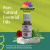 Pujahaat Rose (Gulab Oil) Essential Oil Natural and Therapeutic Grade For Skin, Aromatherapy - Vegan & Cruelty free - 15 ml