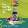 Pujahaat Saffron Essential Oil (Crocus sativus) | Non-Sticky | Non-greasy Healthy Hair | Relaxing Sleep| Oil Skin, Body Soft Hair | Natural Therapeutic Grade - Vegan & Cruelty free - 15 ml