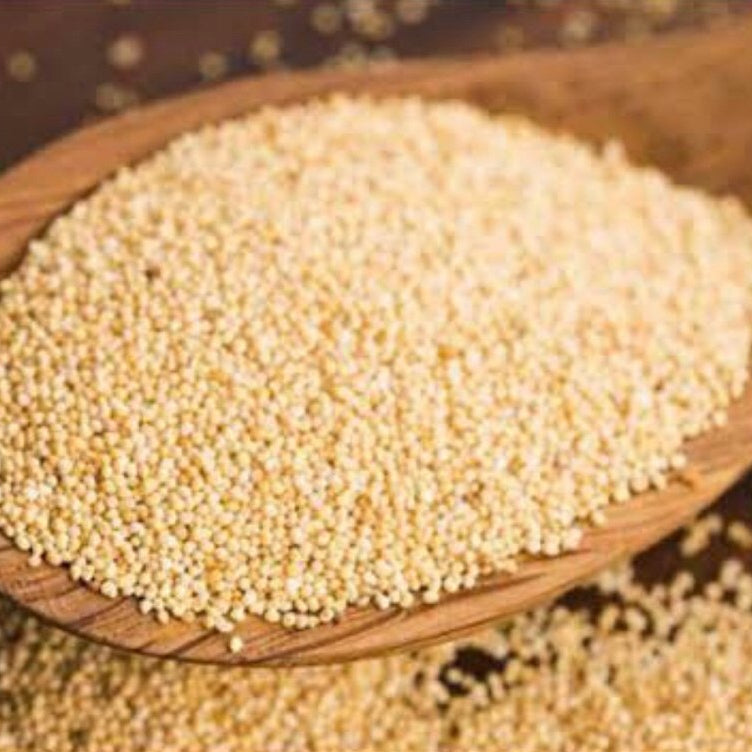 Gunvika Premium Poppy Seeds | Indian Posto Dana | Khus Khus Posto | Whole Khus Khus | Posto Dana | Khas Khas | 100% Pure | Indian Spices & Masala