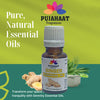 Pujahaat Ginger Essential Oil (Zingiber Officinale) 100% Pure & Natural Undiluted Essential Oil Organic Oil For Scalp, skin / Massage Oil Aromatherpy - Vegan & Cruelty free - 15 ml