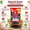 Kunjika Jadibooti Babchi Seed |Babachi Seed | Psoralea corylifolia Seed |Bakuchi Seed 100 Gram